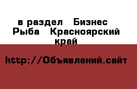  в раздел : Бизнес » Рыба . Красноярский край